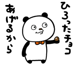 33555034