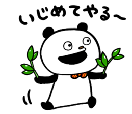 33555036