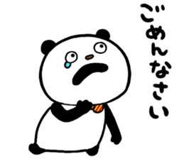 33555037