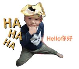 335567645