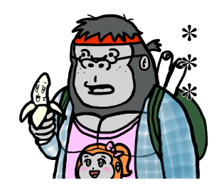 335569004