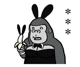 335569005