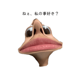 335575112