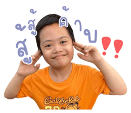 335588018