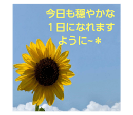 335670697