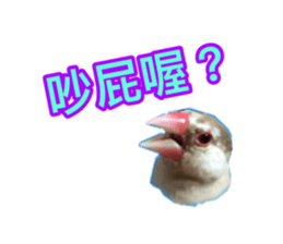 335677347