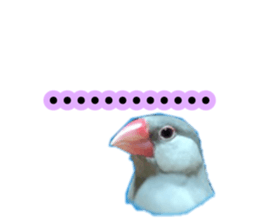 335677349