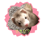 335682983