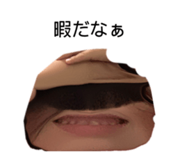335750020