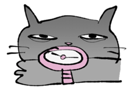 33577155