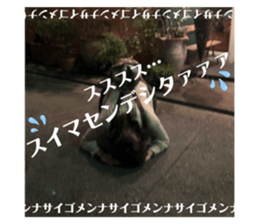 335815579