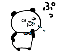 33583823