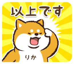335844833