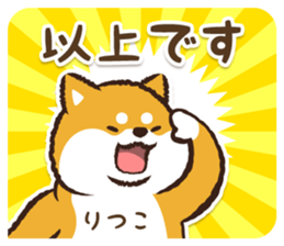 335845201