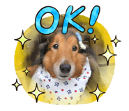 335866039