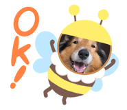 335866043