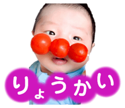 335925377