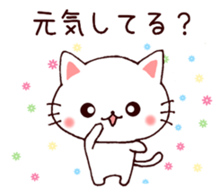 33598197