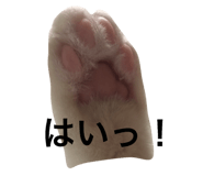 33600466