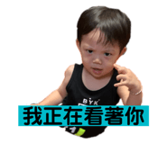 336015111