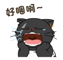 336053253