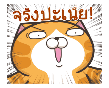 เหมียวซ่า : ดุ๊กดิ๊กดุ๊กดิ๊ก รูปที่ 7