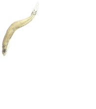 336226954