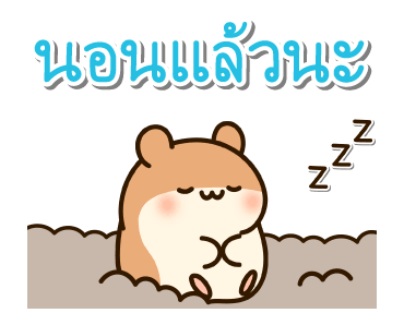 แฮมสเตอร์ เพื่อนรัก รูปที่ 4