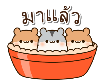 แฮมสเตอร์ เพื่อนรัก รูปที่ 7