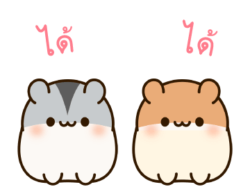 แฮมสเตอร์ เพื่อนรัก รูปที่ 9