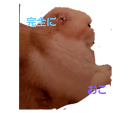 336237971