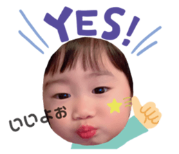 336238358