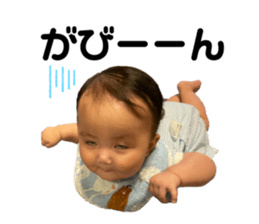 336248133
