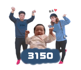 336288517