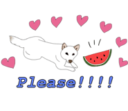 336301900