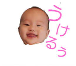 336310570