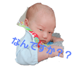 336310586