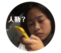 336312225