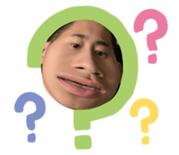 336312229