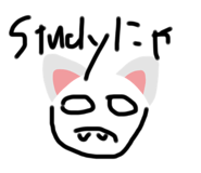 336330125