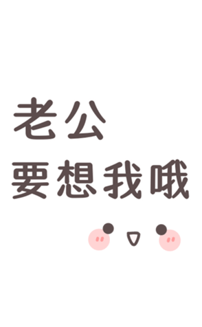 336332317