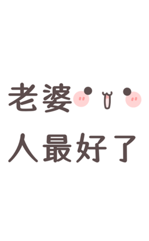 336332511