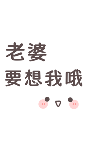 336332533