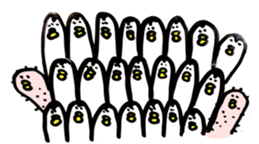 336334936