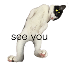 336352332