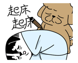 33635303