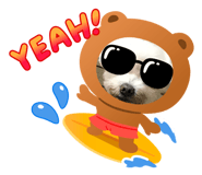 336365527