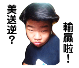336389599