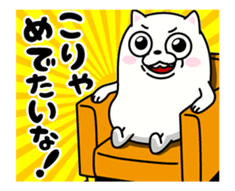 33643003