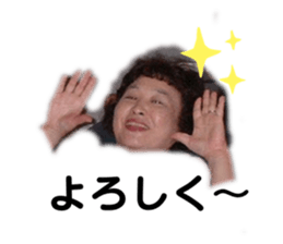 336520262